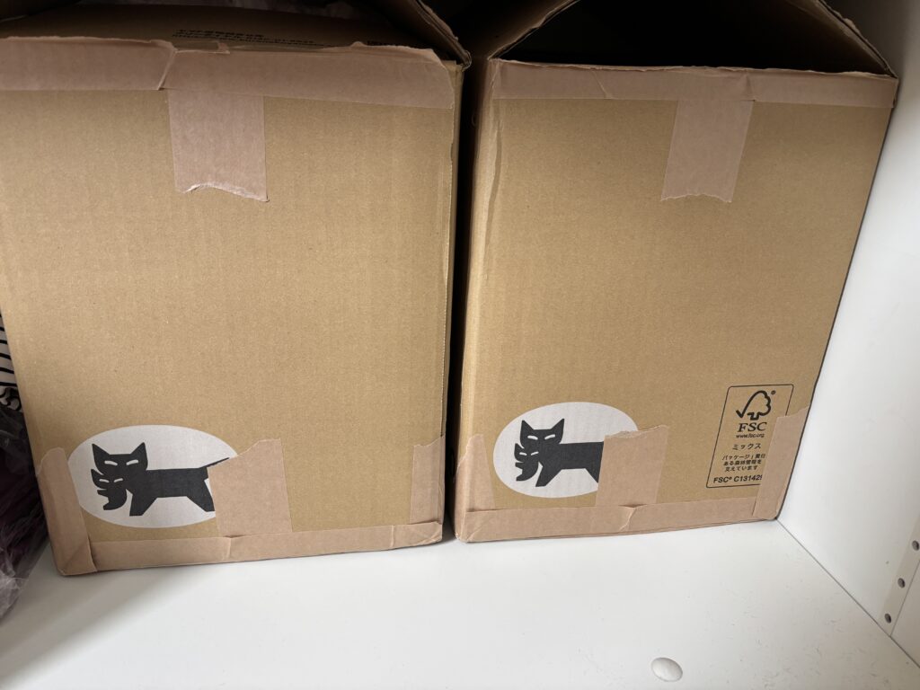 スリコのクリアバッグLLを飛行機の預け入れ荷物として使用