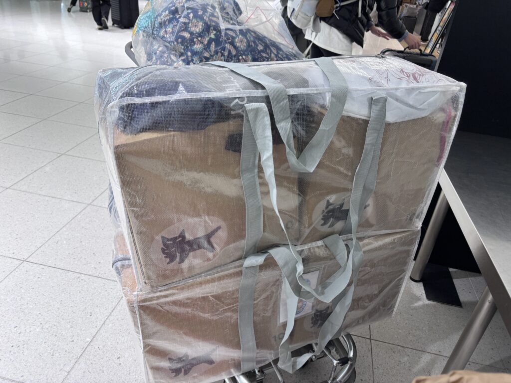 スリコのクリアバッグLLを飛行機の預け入れ荷物として使用