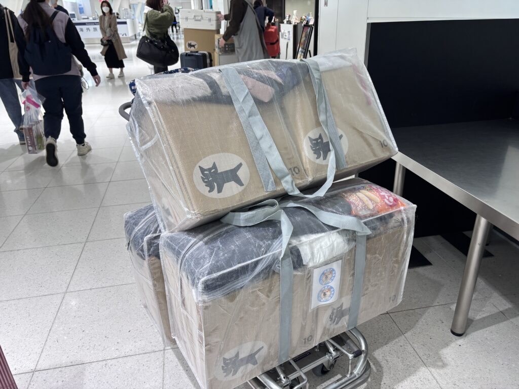 スリコのクリアバッグLLを飛行機の預け入れ荷物として使用