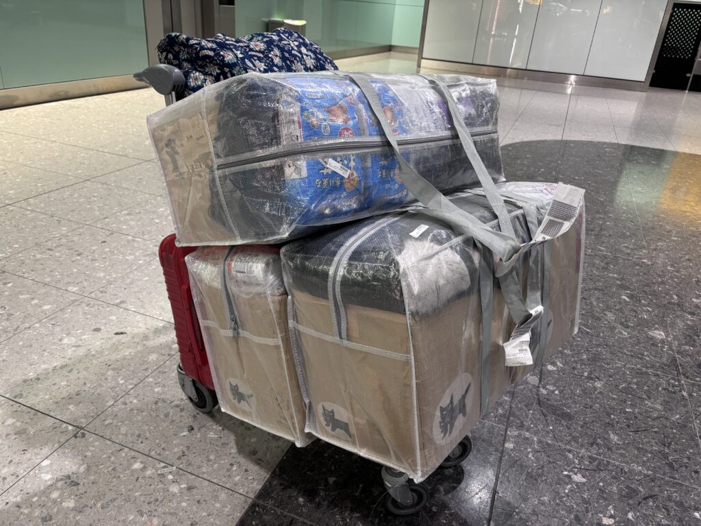 スリコのクリアバッグLLを飛行機の預け入れ荷物として使用